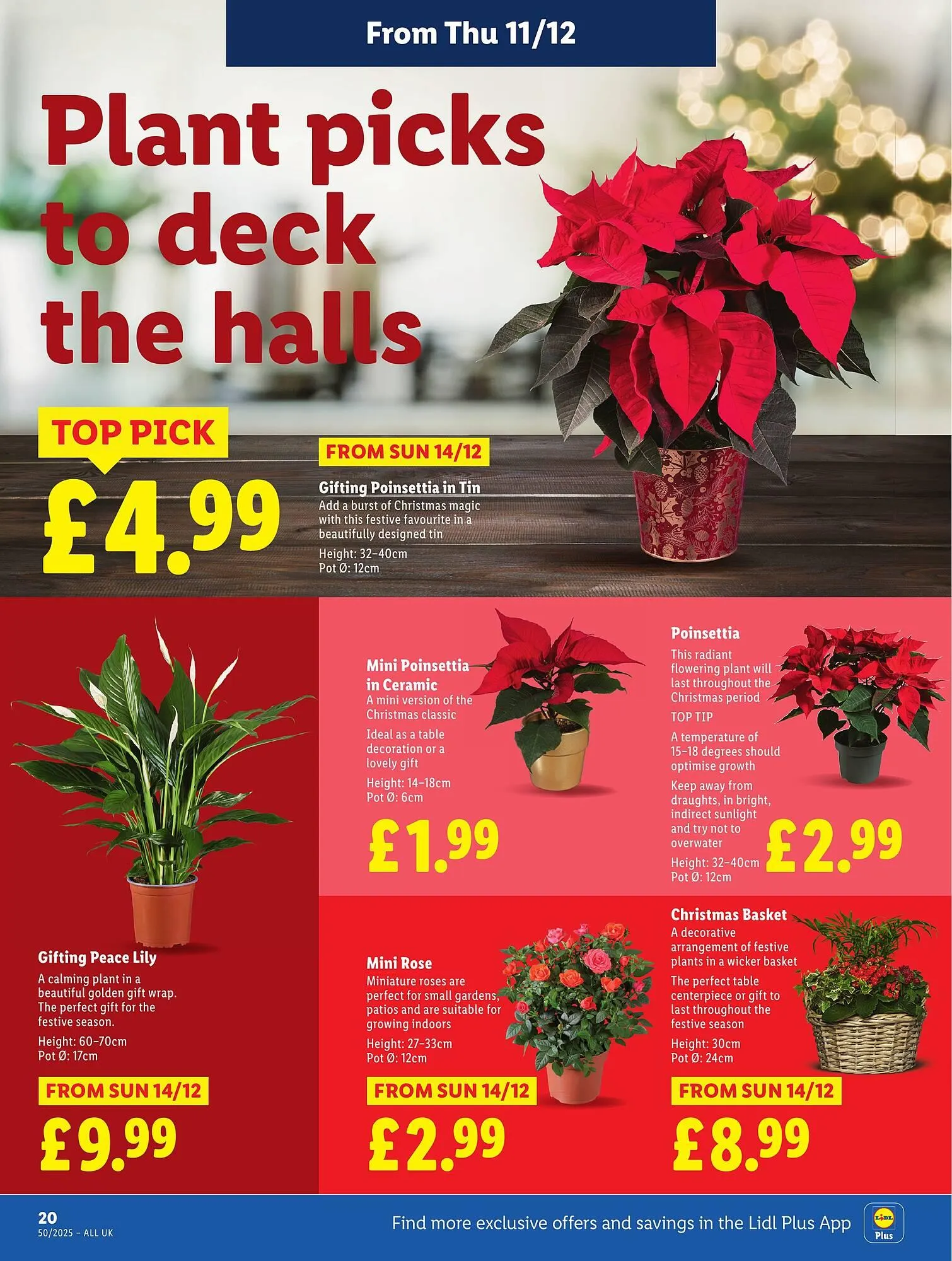 Lidl leaflet from 11 December to 17 December 2025 - Catalogue Page 22