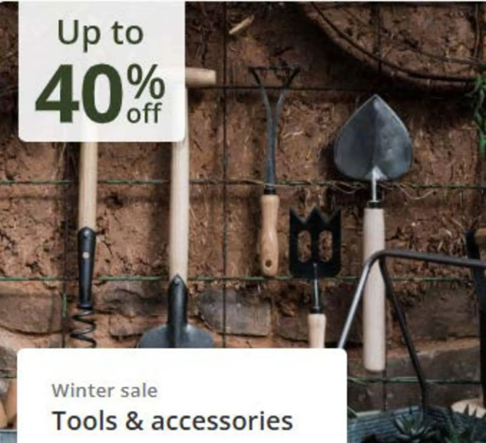 Crocus leaflet from 16 January to 12 February 2026 - Catalogue Page 6