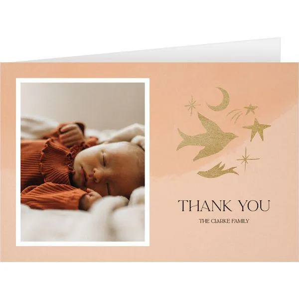 Stars moons and magic