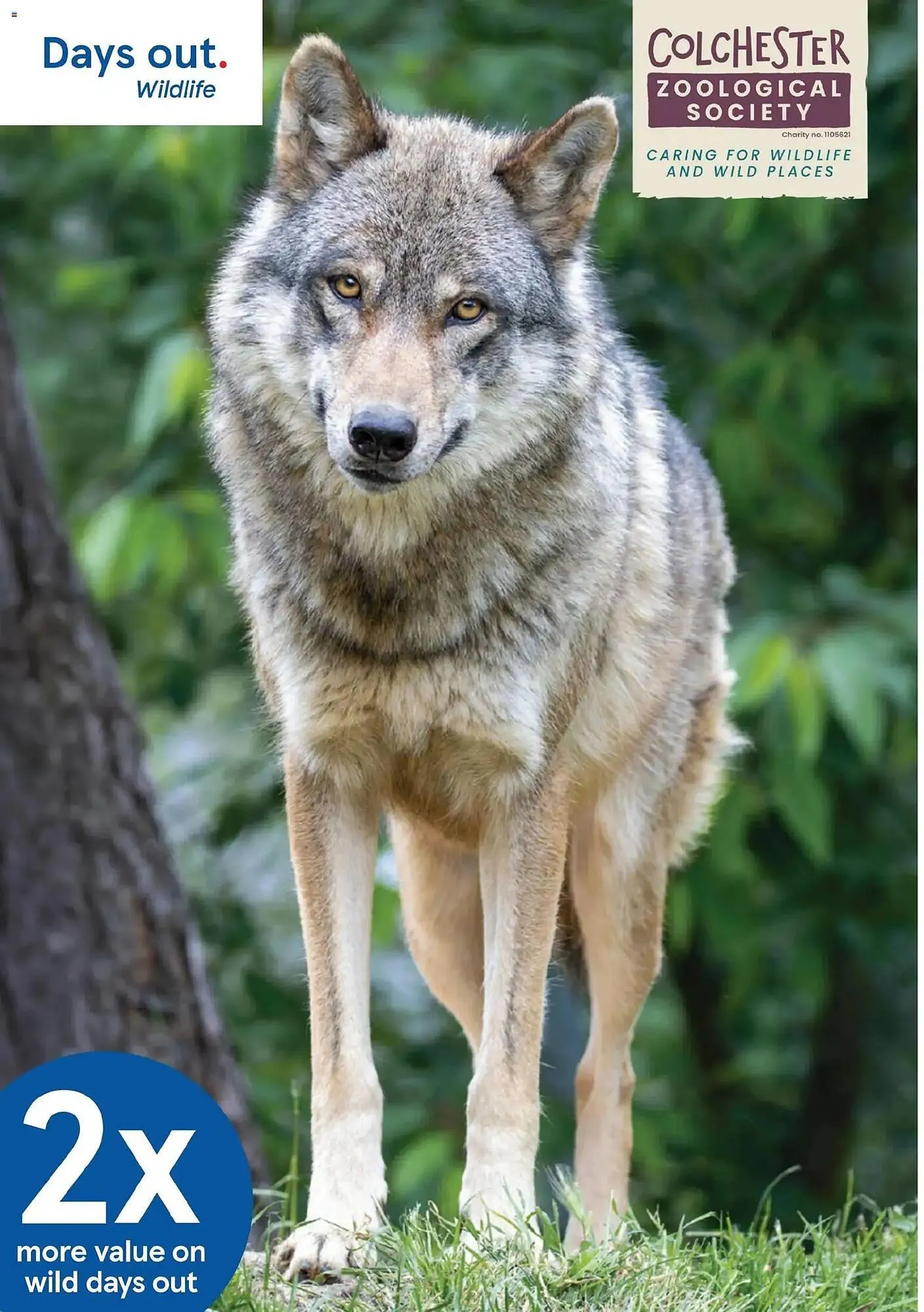 Tesco leaflet from 29 October to 1 February 2026 - Catalogue Page 33