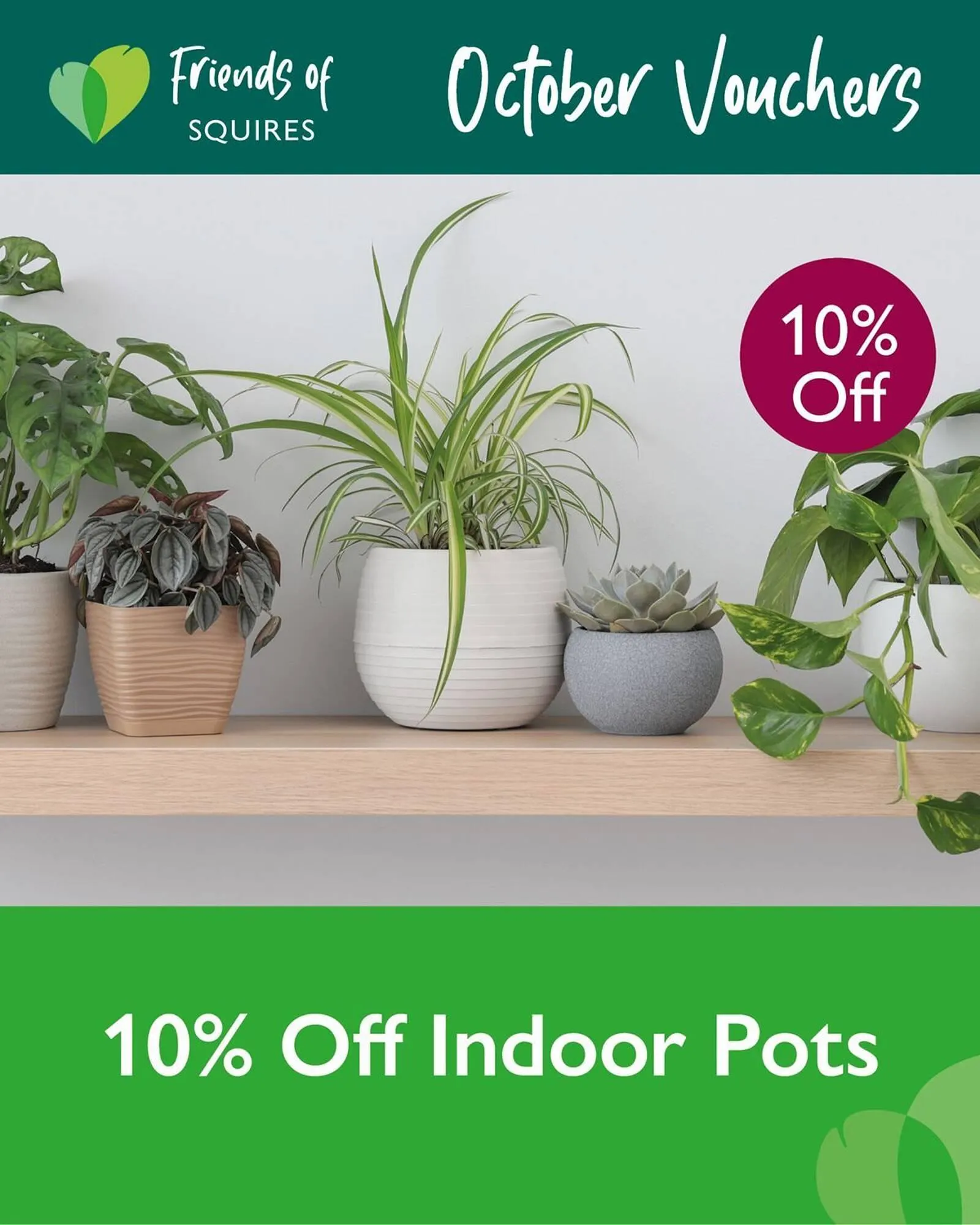 Squires Garden Centres leaflet from 15 October to 15 November 2025 - Catalogue Page 5