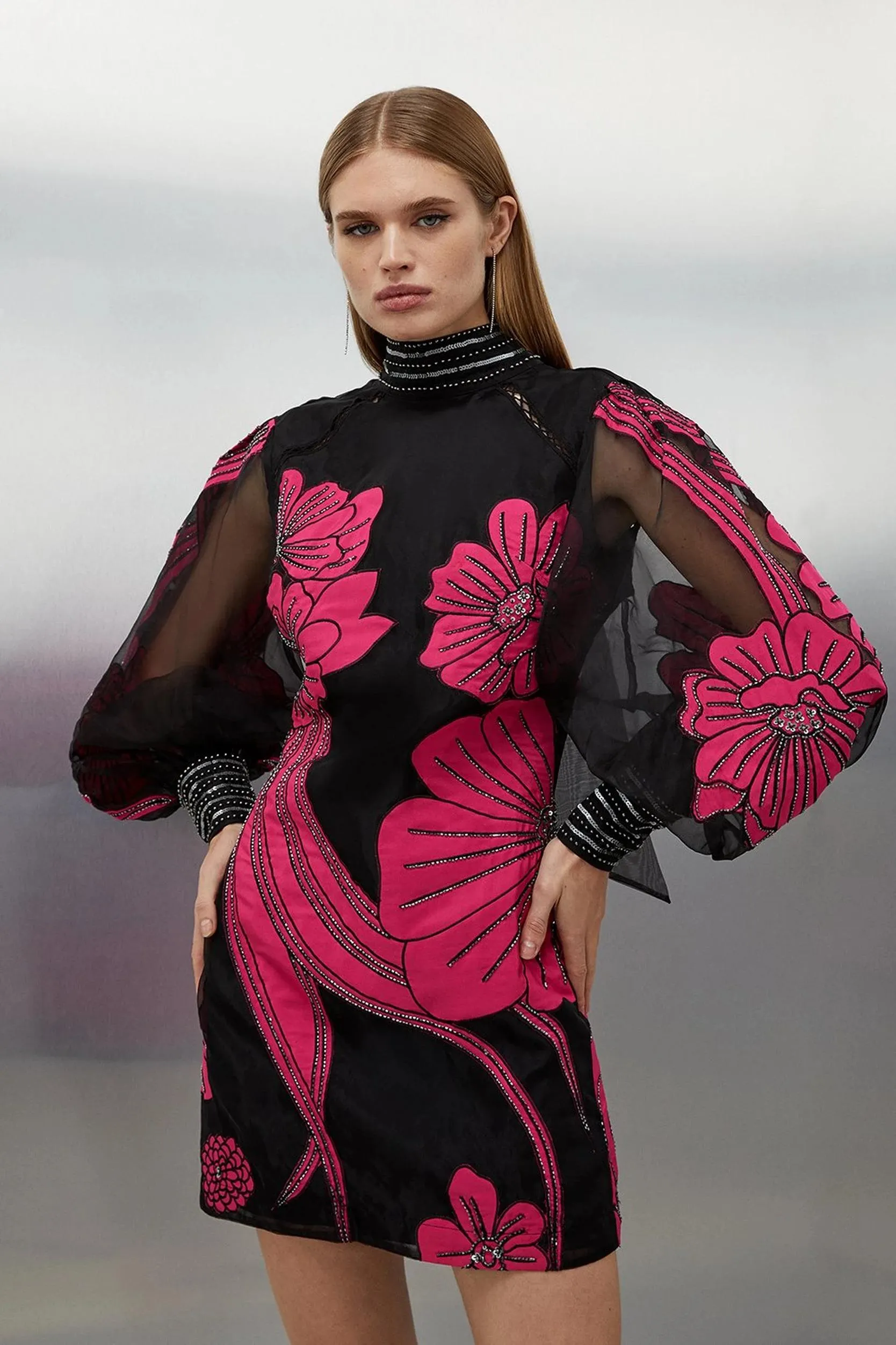 Applique Organdie Floral Graphic Woven Mini Dress