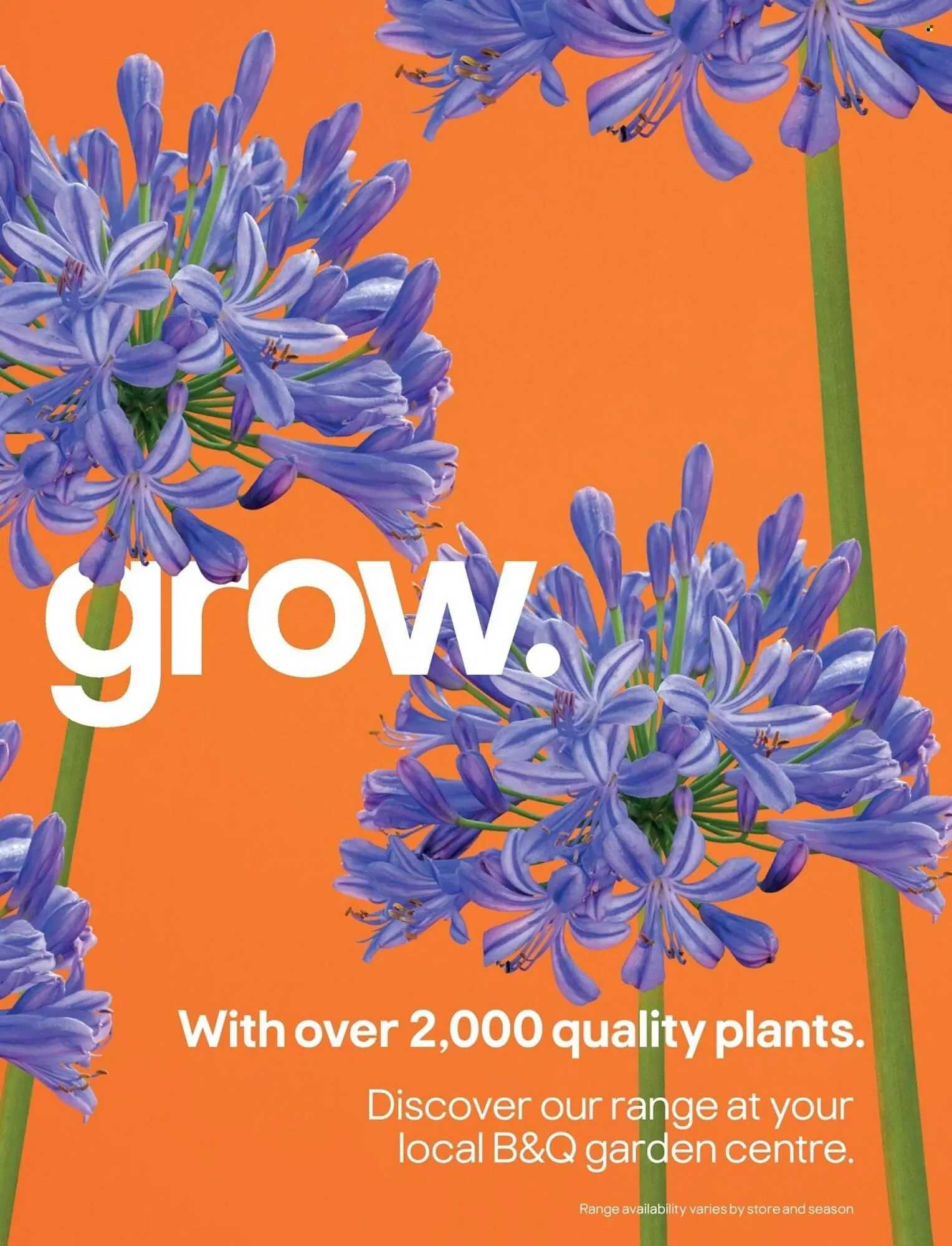 B&Q brochure from 23 March to 30 March 2026 - Catalogue Page 3