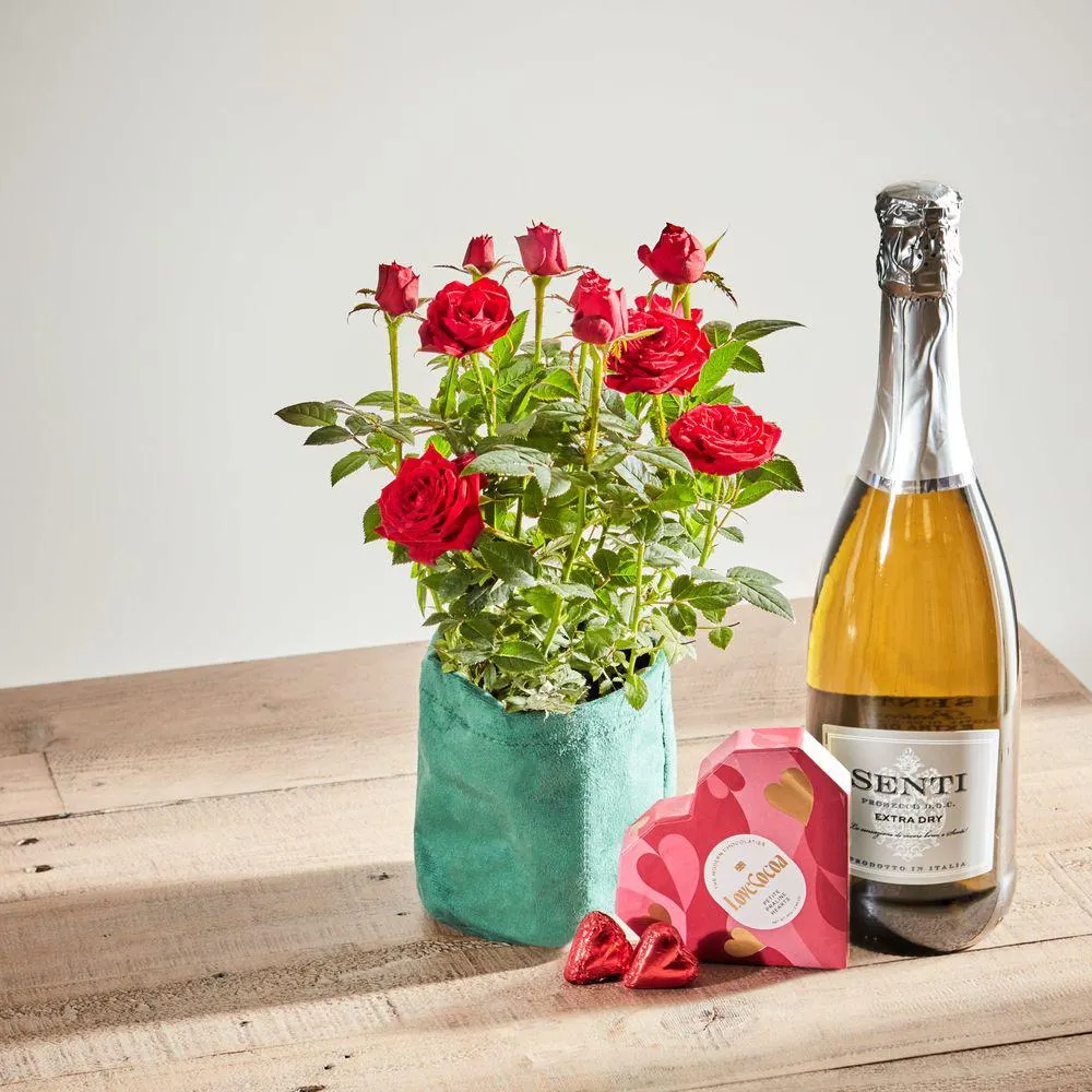 Rose Enchantment with Fizz and Truffles