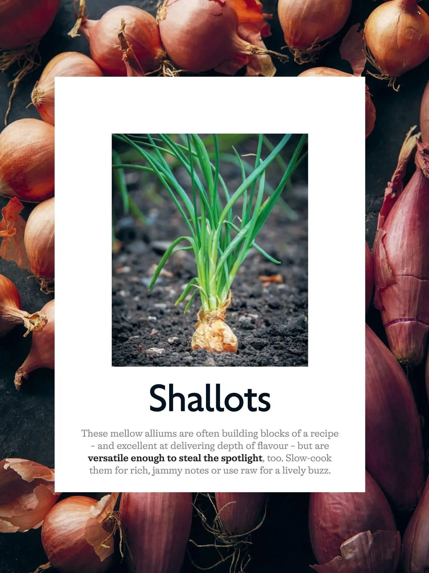 Waitrose catalogue from 1 April to 30 April 2026 - Catalogue Page 52