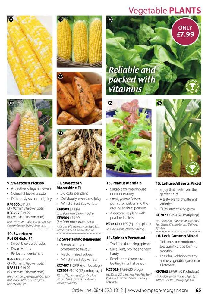 Spring Sale Catalogue from 2 May to 31 May 2024 - Catalogue Page 65