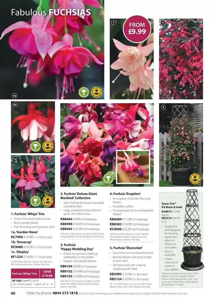 The Spring Catalogue from 20 March to 31 May 2025 - Catalogue Page 60