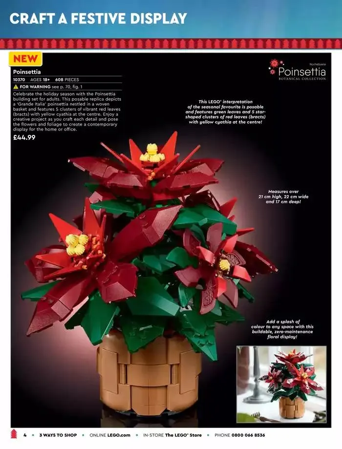 Big Holiday from 6 November to 31 December 2024 - Catalogue Page 4