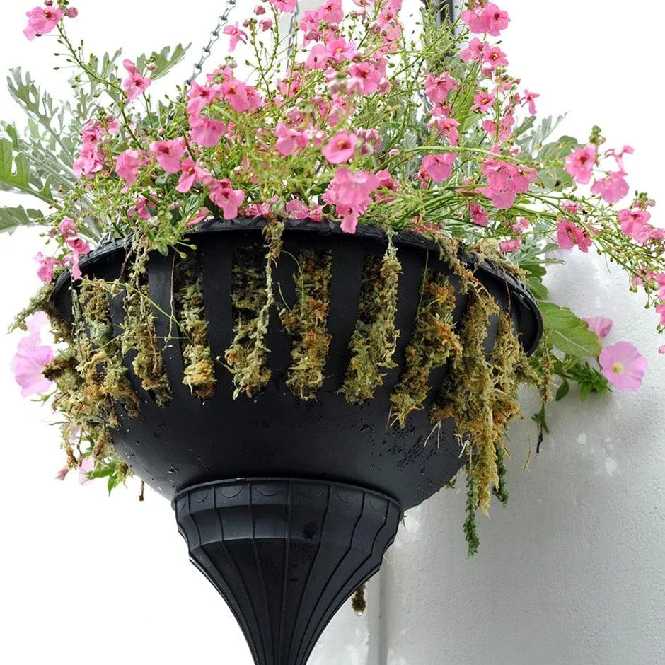 Pair of self-watering hanging baskets