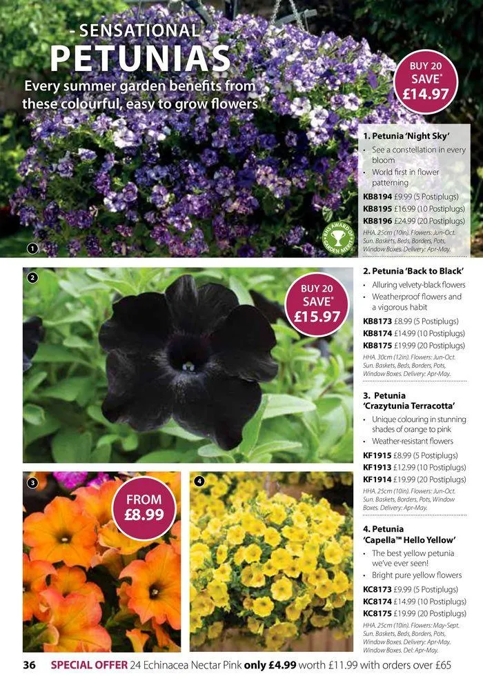 Spring Sale Catalogue from 2 May to 31 May 2024 - Catalogue Page 36