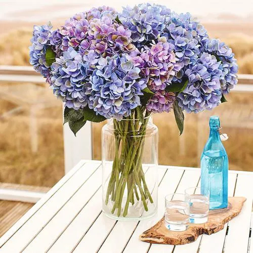 Alice Blue Hydrangea Stem