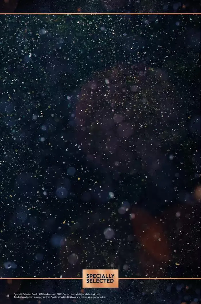 Current special promotions from 1 February to 15 February 2025 - Catalogue Page 22