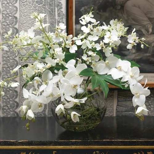 Aphrodite Orchid Arrangement