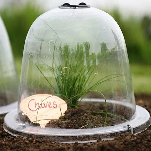 Baby Bell Cloche - 3 Pack