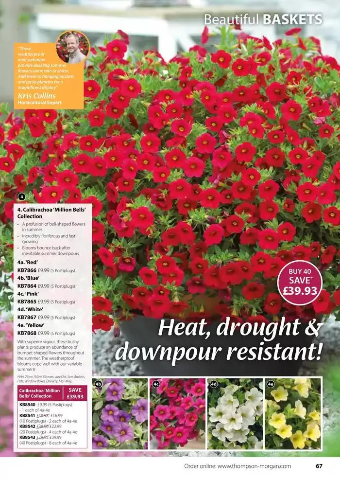 The Spring Catalogue from 20 March to 31 May 2025 - Catalogue Page 67