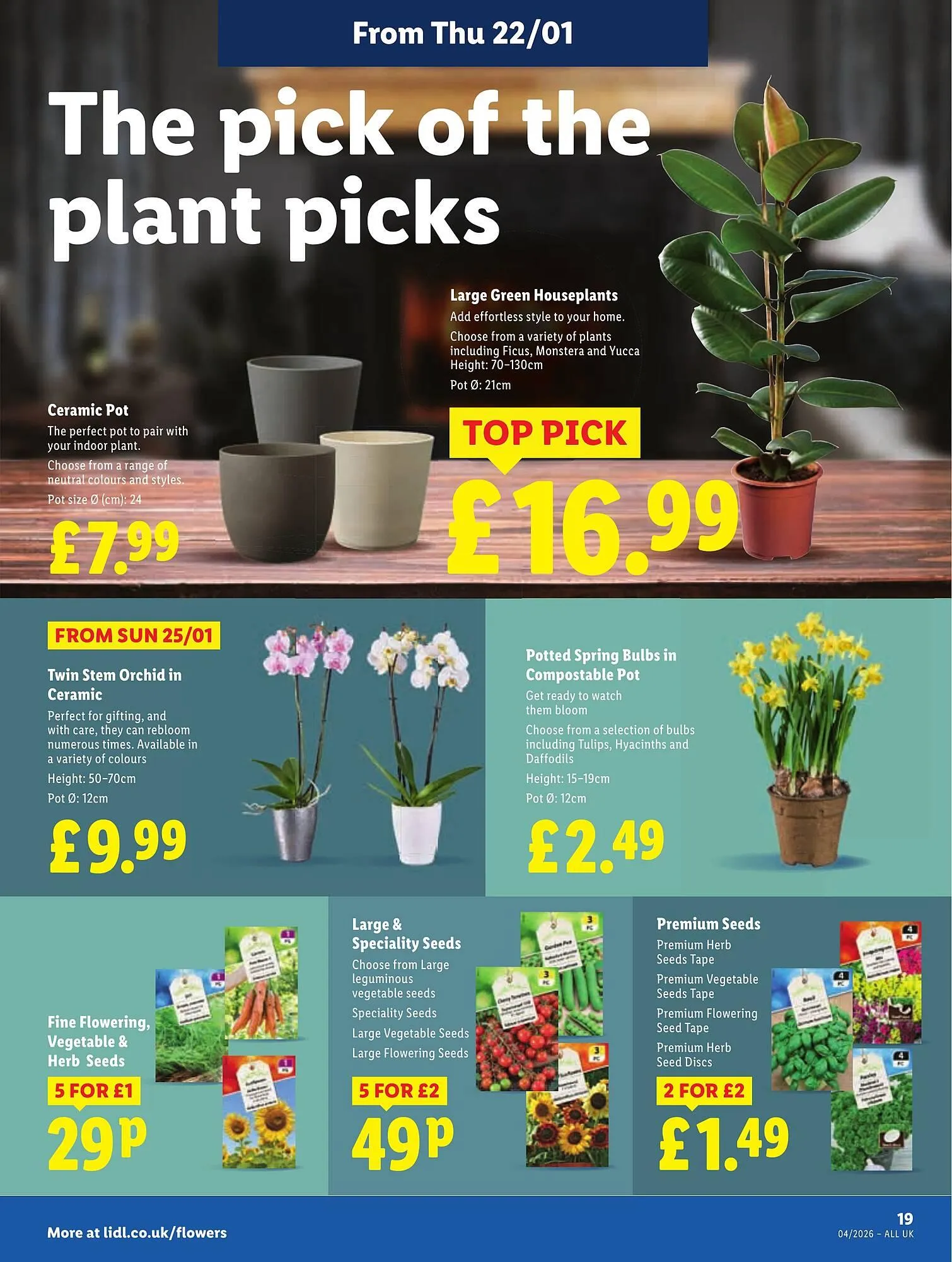Lidl leaflet from 22 January to 28 January 2026 - Catalogue Page 23