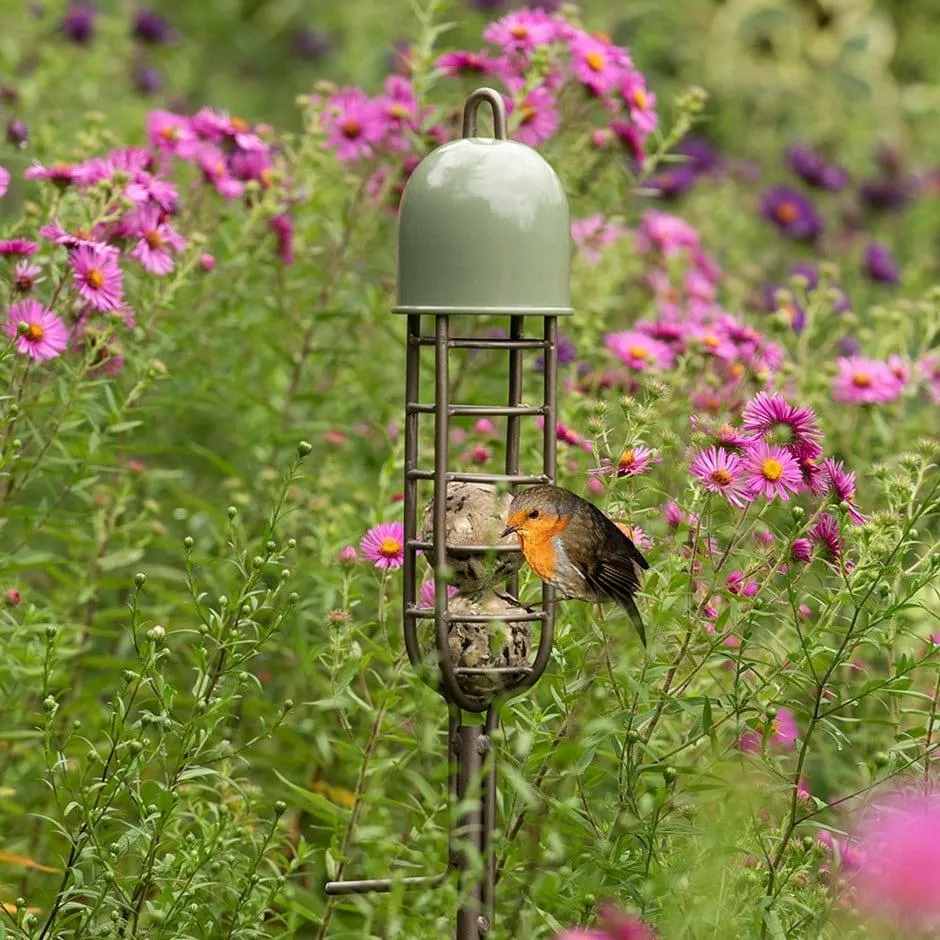 Garden stake fat ball feeder - Crocus green