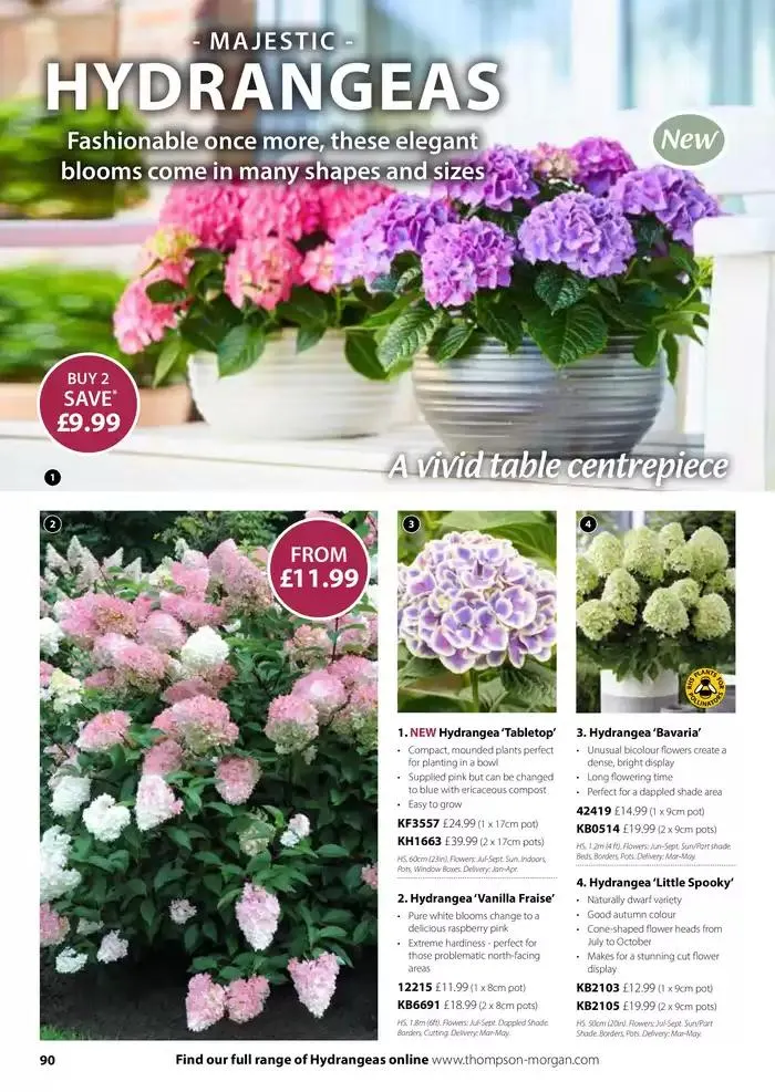 The Spring Catalogue from 20 March to 31 May 2025 - Catalogue Page 90