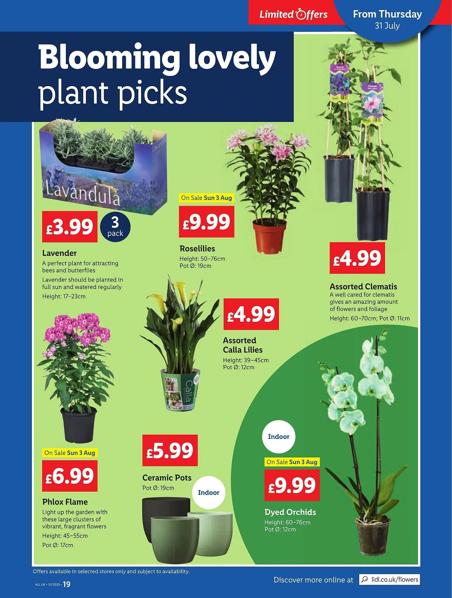 Lidl leaflet from 31 July to 6 August 2025 - Catalogue Page 19