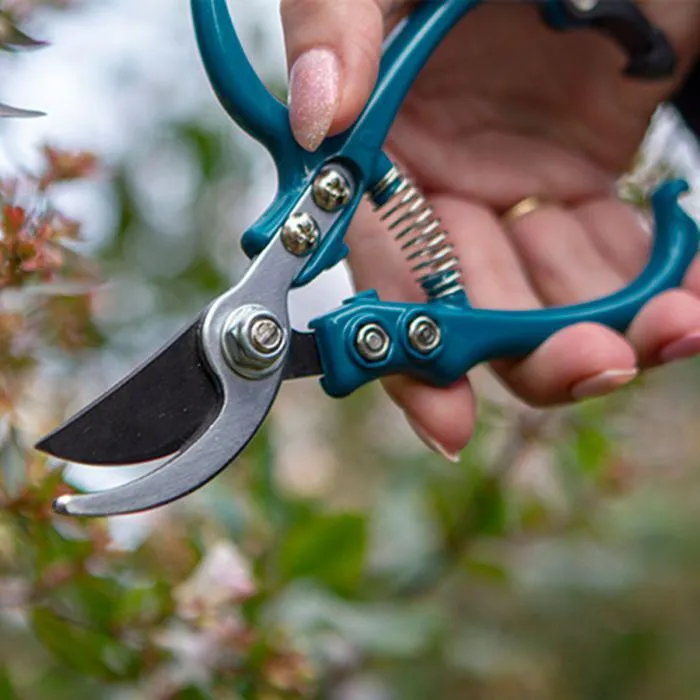 Sarah Raven Ergo Pruner