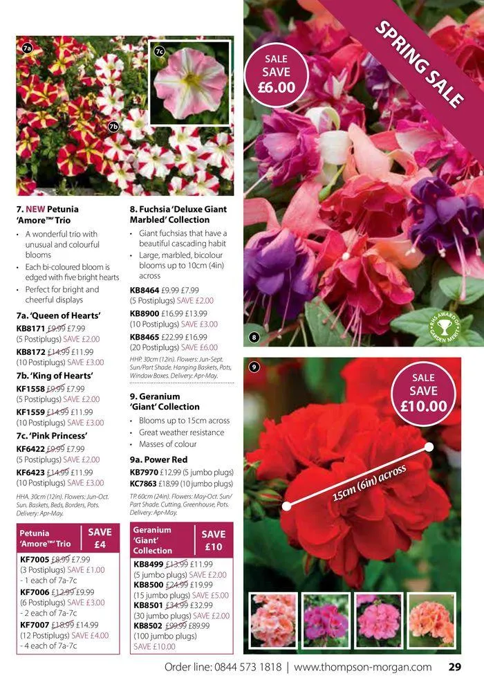 Spring Sale Catalogue from 2 May to 31 May 2024 - Catalogue Page 29