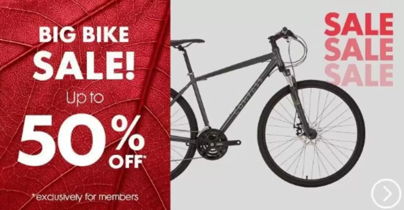 Sale from 3 January to 17 January 2025 - Catalogue Page 5