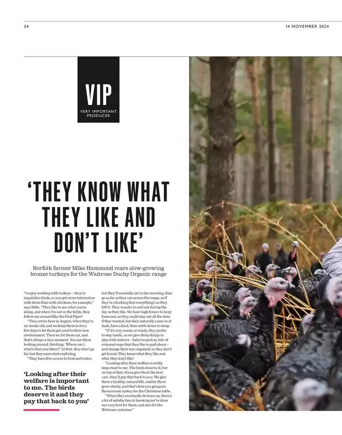 The Main Event from 14 November to 25 December 2024 - Catalogue Page 34