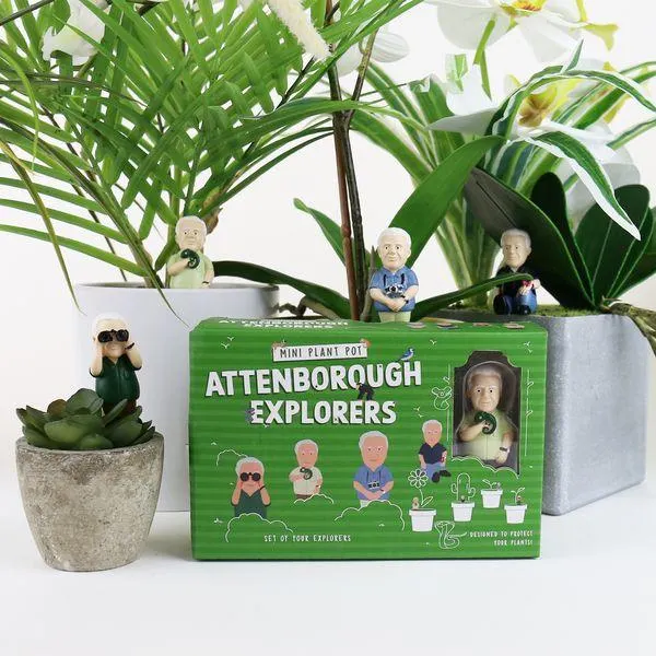 Mini Plant Pot Attenborough Explorers