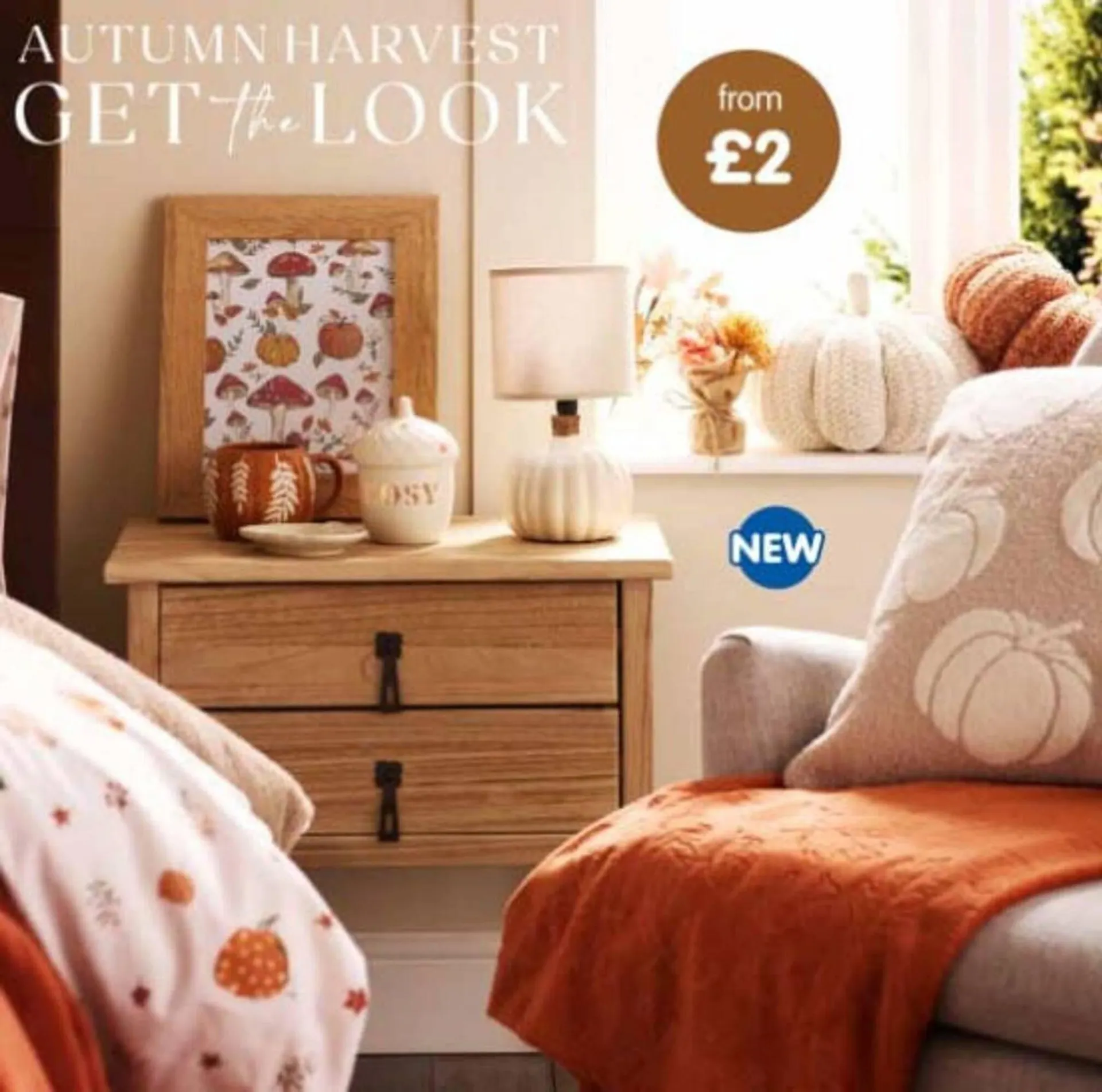 B&M Stores leaflet - 1