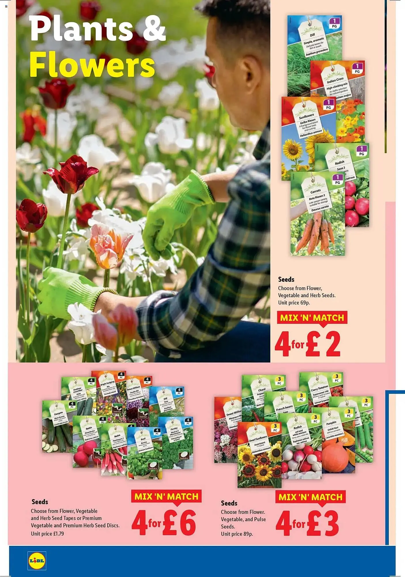 Lidl leaflet from 22 January to 29 January 2026 - Catalogue Page 20