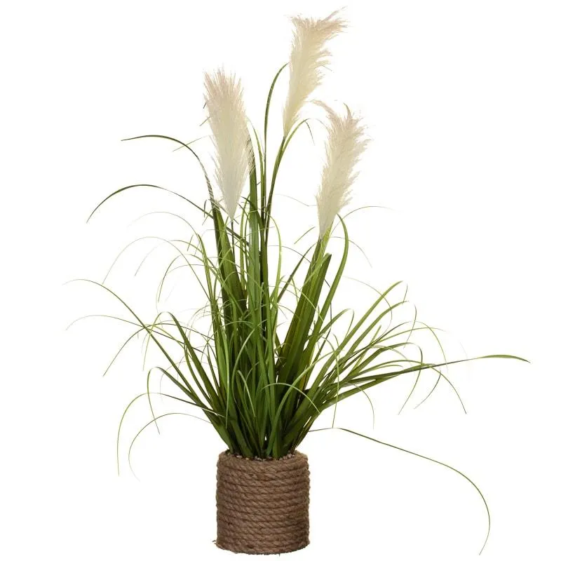 Pampas in Brown Pot 78cm