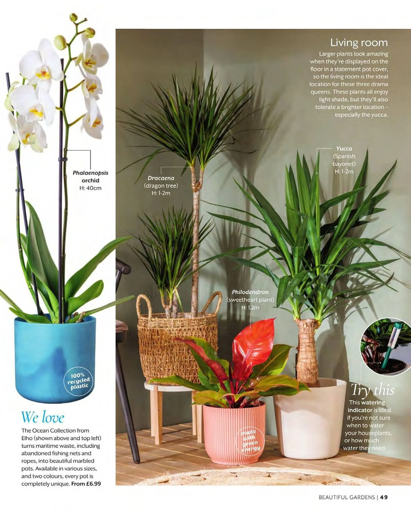 Squires Garden Centres leaflet from 1 March to 31 May 2024 - Catalogue Page 49