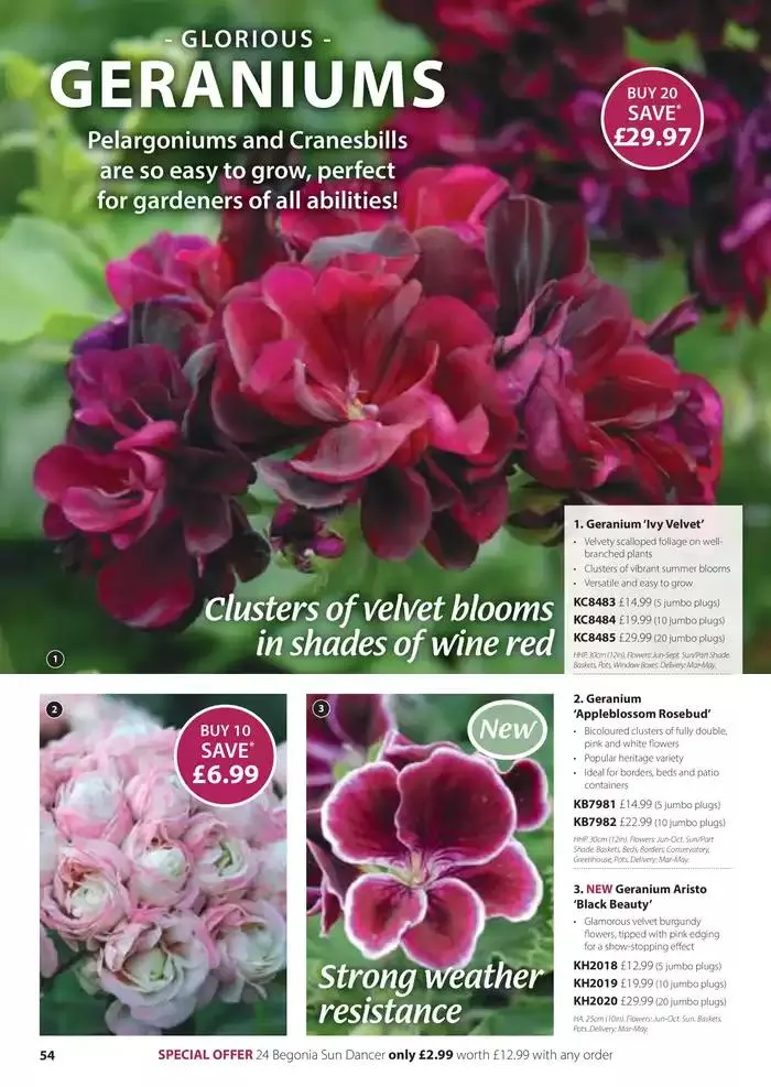 The Spring Catalogue from 20 March to 31 May 2025 - Catalogue Page 54