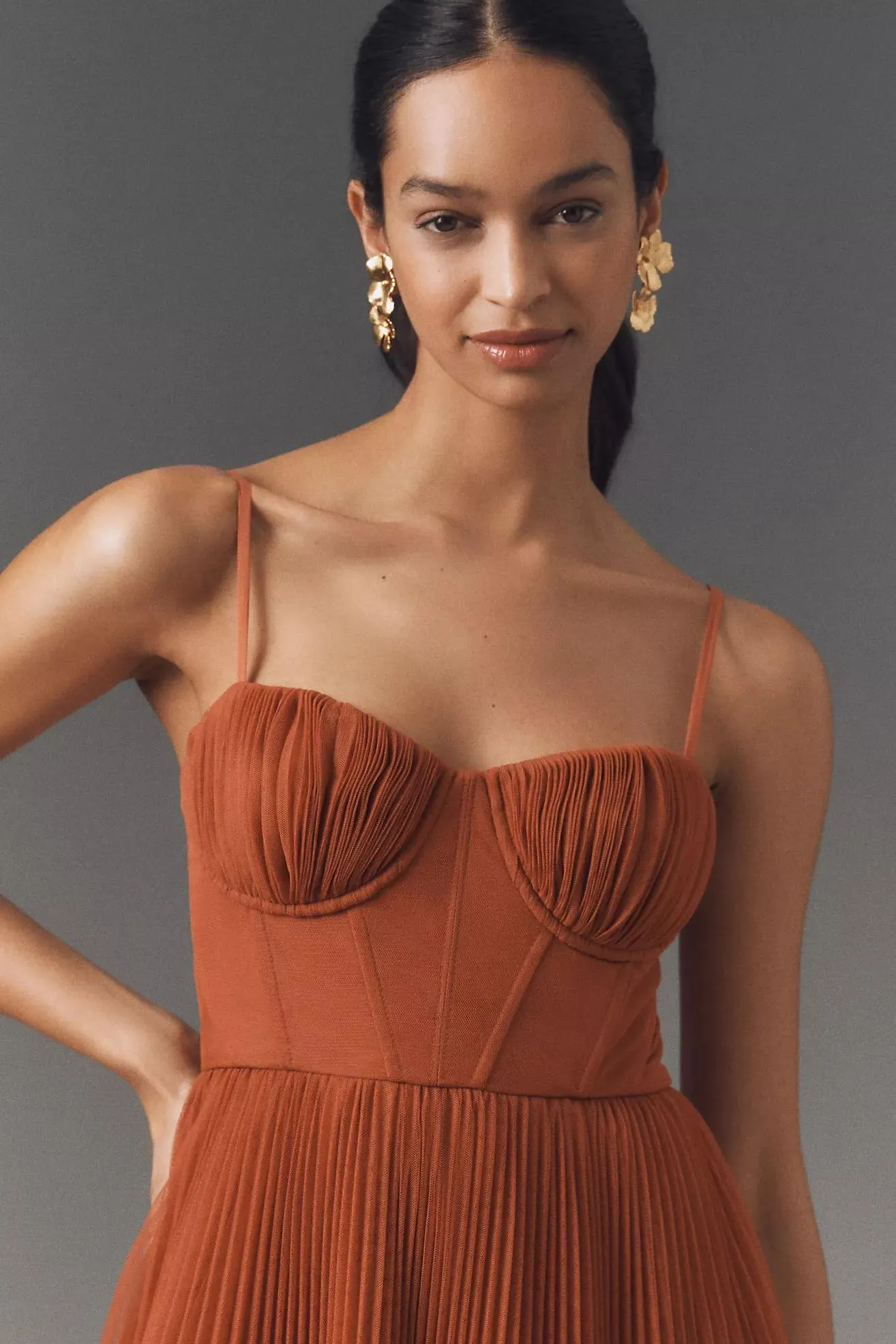 Hutch Amara Corset Pleated Tulle Fit & Flare Midi Dress