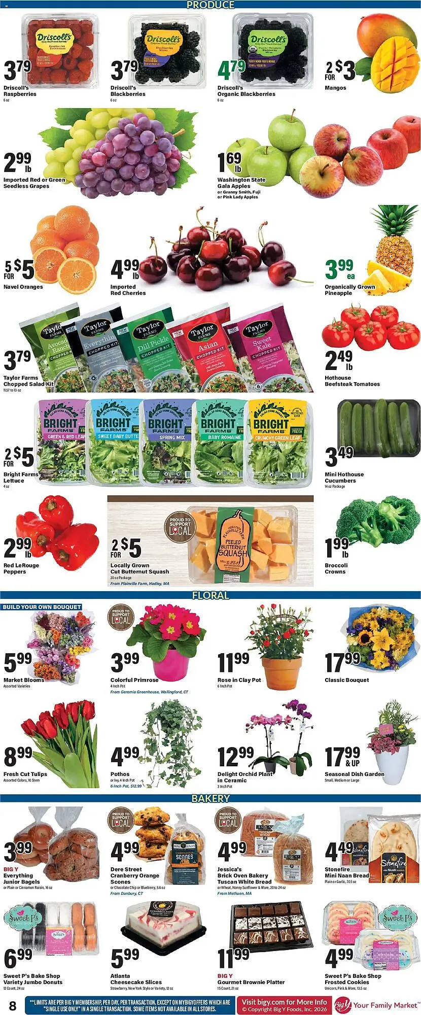 Weekly ad Big Y flyer from January 8 to January 15 2026 - Page 12