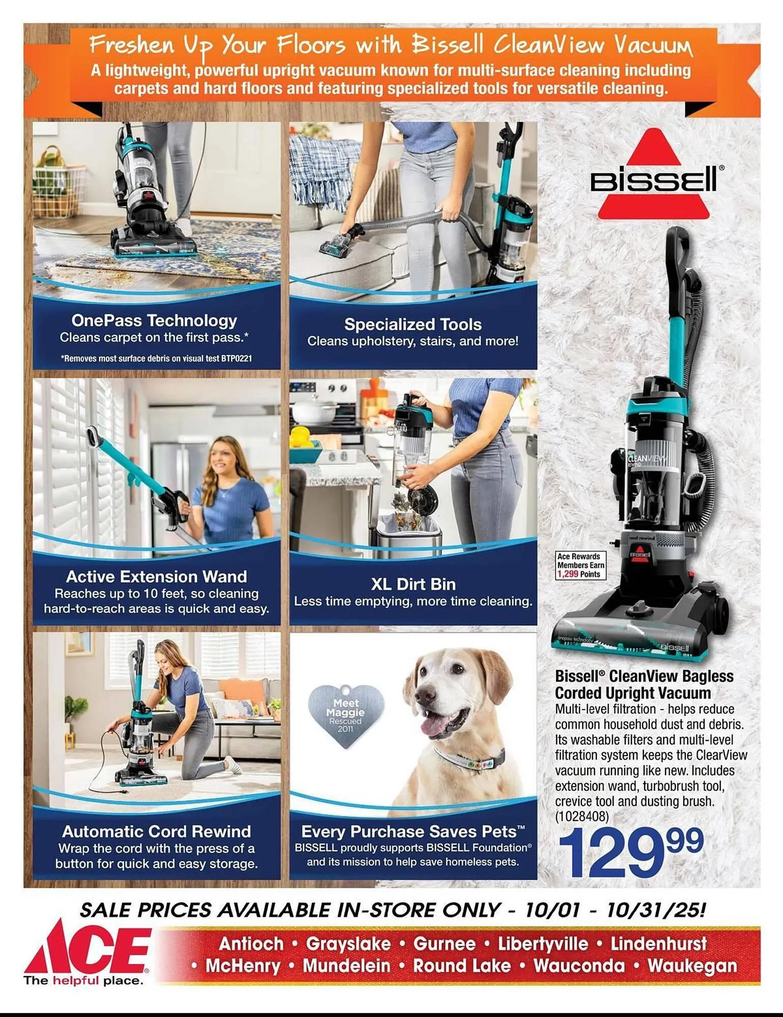 Weekly ad Ace Hardware flyer from October 1 to October 31 2025 - Page 4