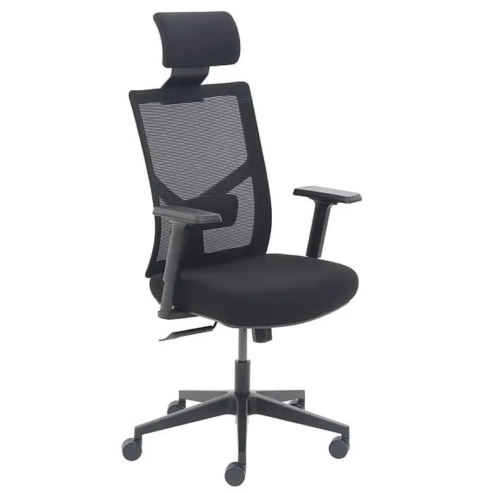 La-Z-Boy Ergonomic Mesh Swivel Task Chair,