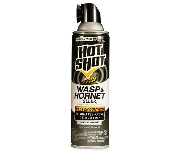 Wasp and Hornet Killer, 14 Oz. 