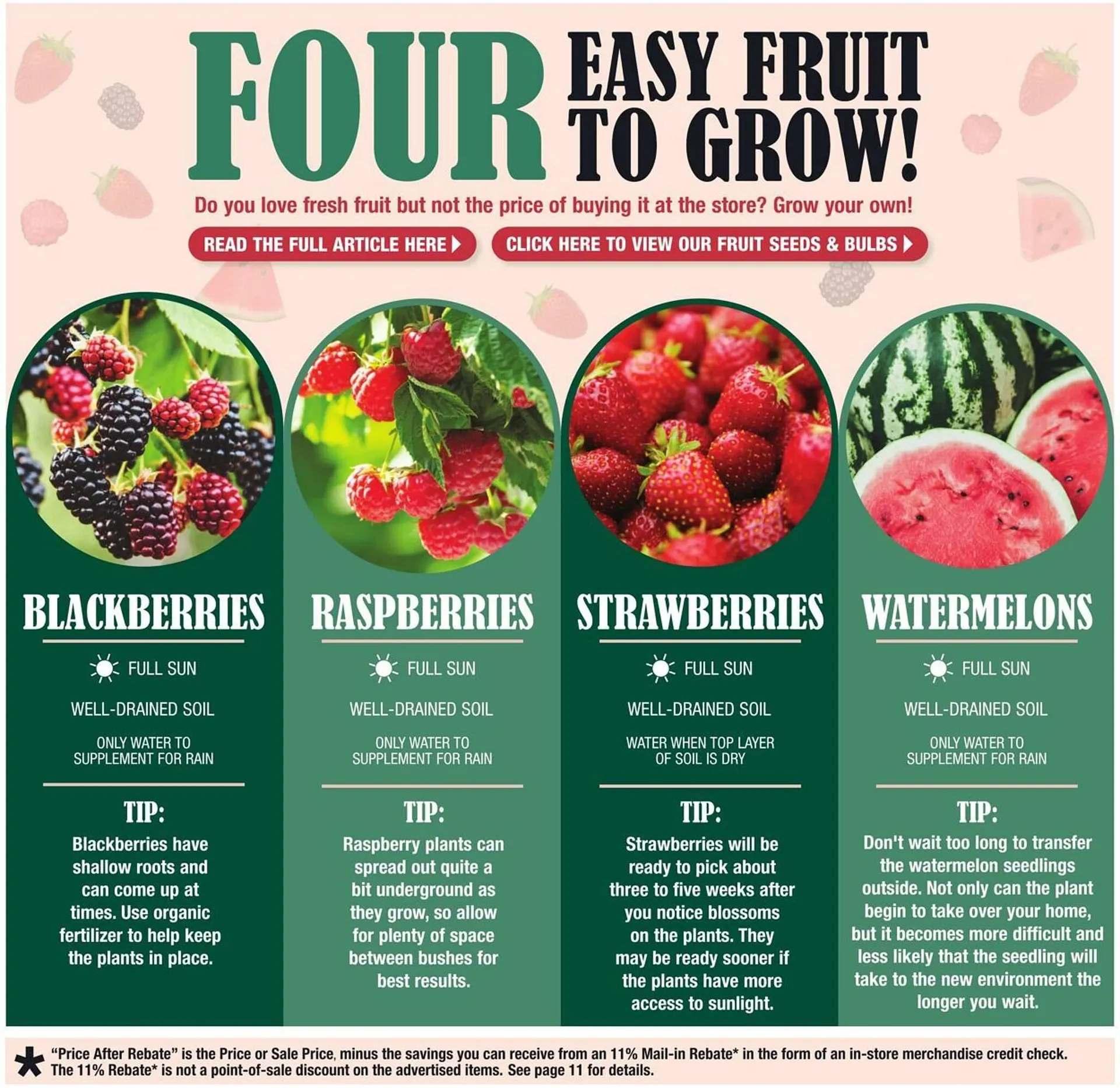 Weekly ad Menards Weekly Ad from April 9 to April 20 2025 - Page 6