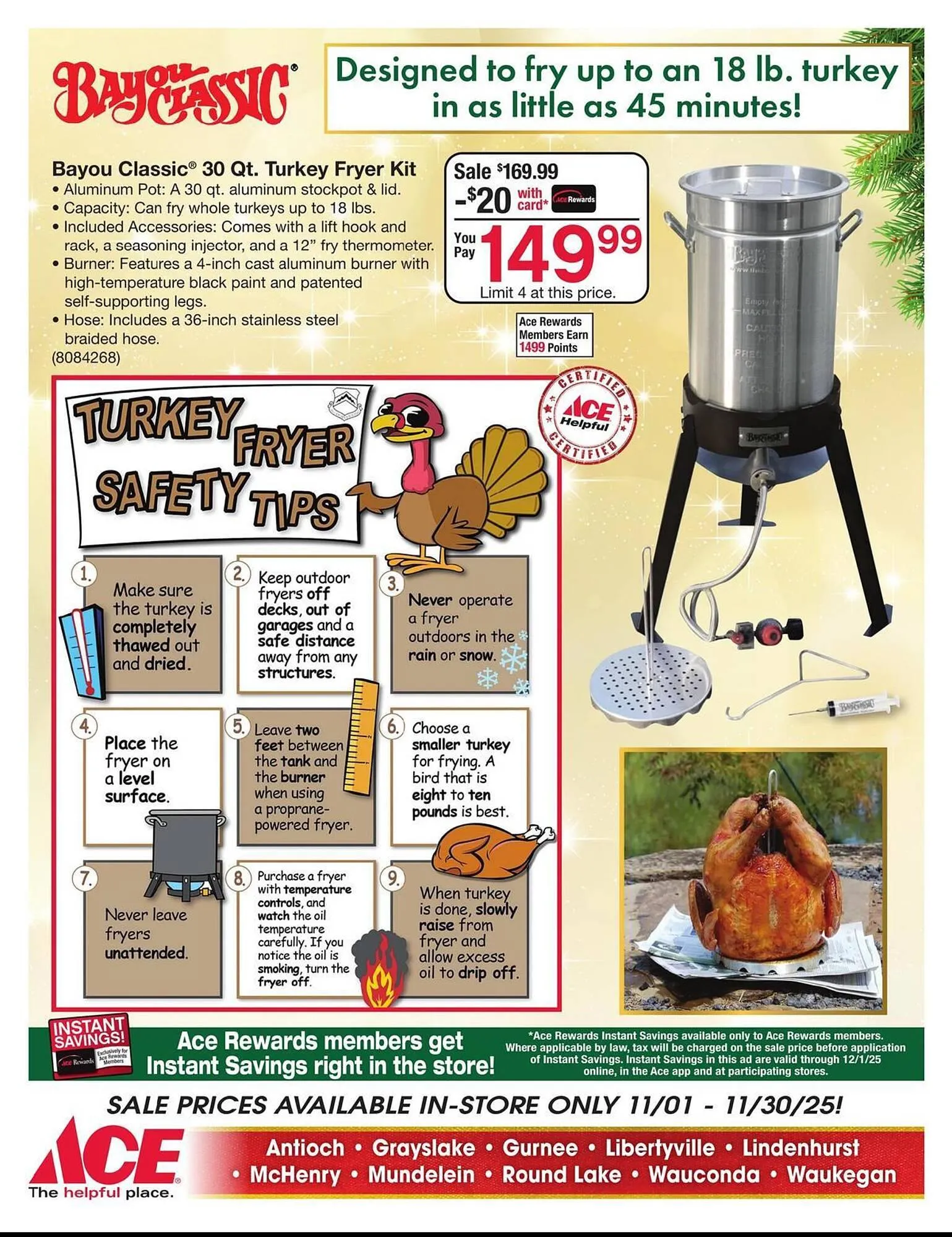 Weekly ad Ace Hardware flyer from November 1 to November 30 2025 - Page 2