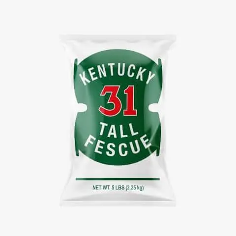 Barenbrug Kentucky 31 Tall Fescue Grass Sun or Shade Grass Seed 5 lb