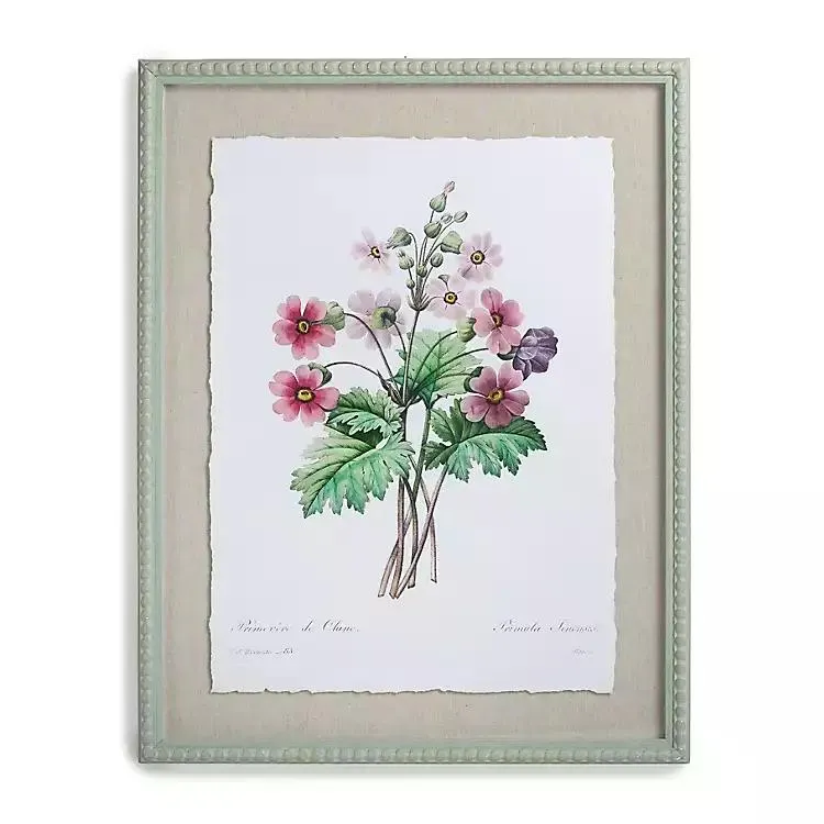 Vintage Chinese Primrose Framed Art Print