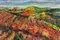 Pino Romanò, Vineyard in Autumn, Oil Painting, 1999