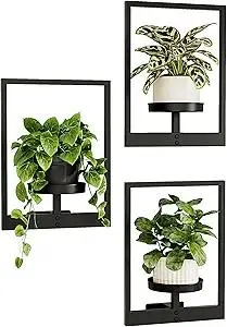 Bamworld Wall Planters for Indoor Plants Hanging Planter for Indoor Plants Plant Stand Indoor Wall Decor Hanger Window Plant Shelves 3 Pack for Living Room Outdoor Entryway
