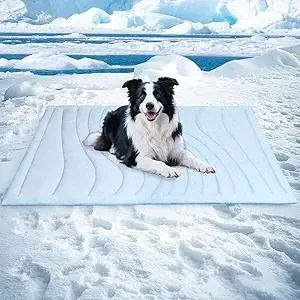 BECEMURU Dog Cooling Mat - 48" x 28" Thickening Cooling Pad Blanket for Crate, Kennel, Bed, Sofa - Machine Washable, Durable, Non-Gel - Keep Your Pet Cool and Comfortable