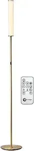 O’Bright LED Cylinder Floor Lamp with Remote Control, Full Range Dimming, Adjustable Color Temperature 3000K-6000K, Minimalist Standing Lamps for Living Room, Bedrooms and Office, Antique Brass