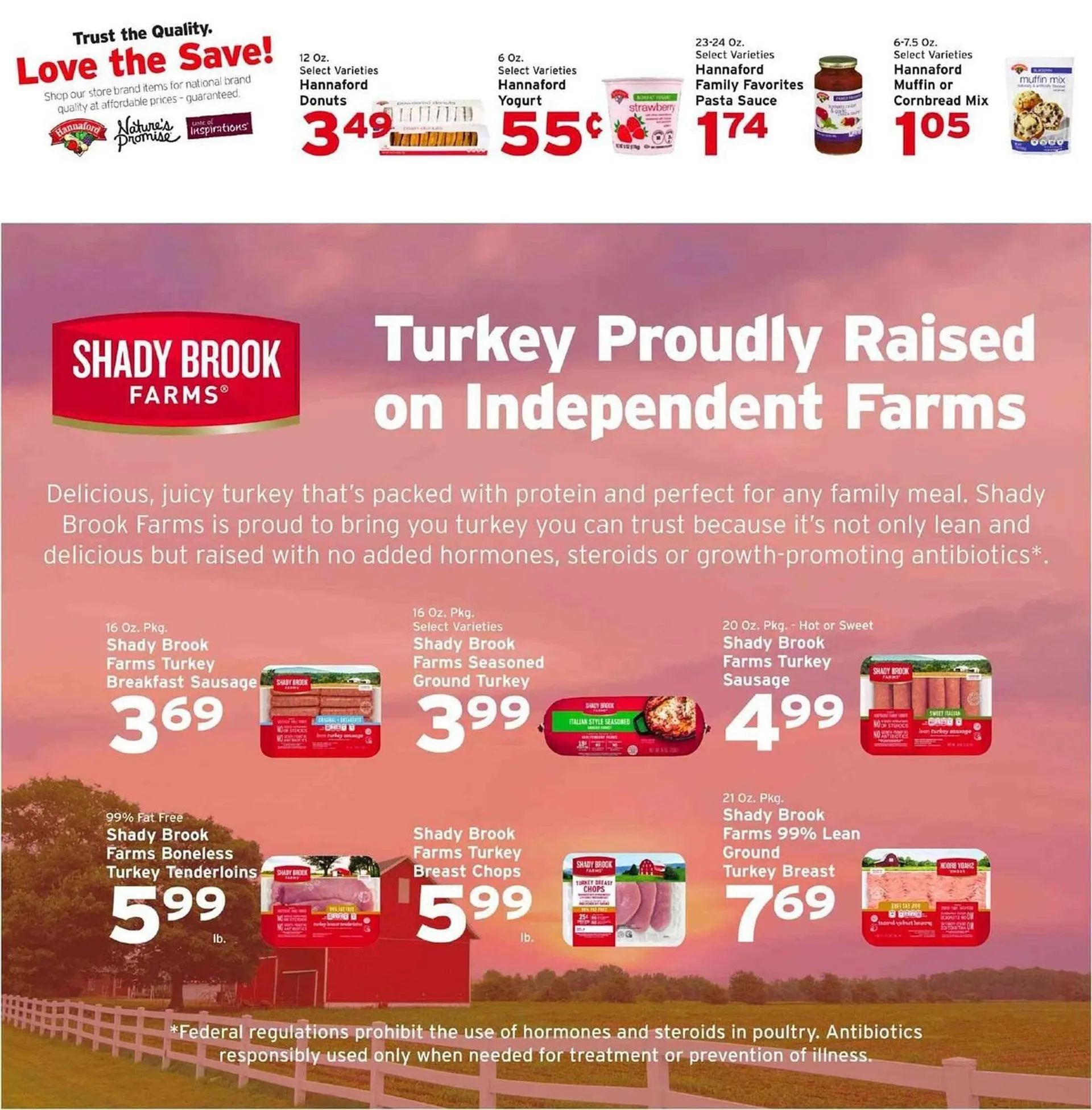 Weekly ad Hannaford flyer from February 8 to February 14 2026 - Page 11