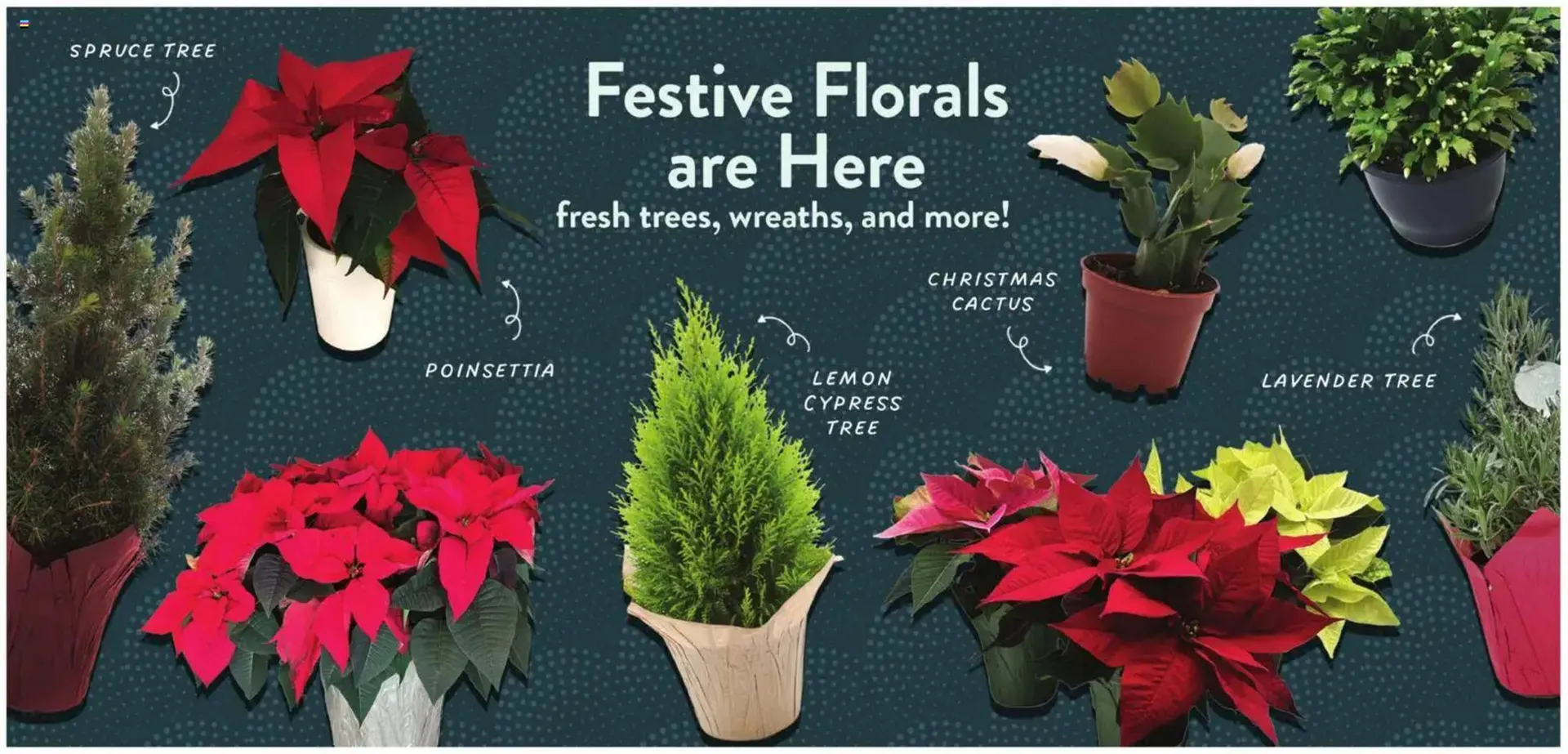 Weekly ad Fresh Thyme weekly ad from December 10 to December 16 2025 - Page 5