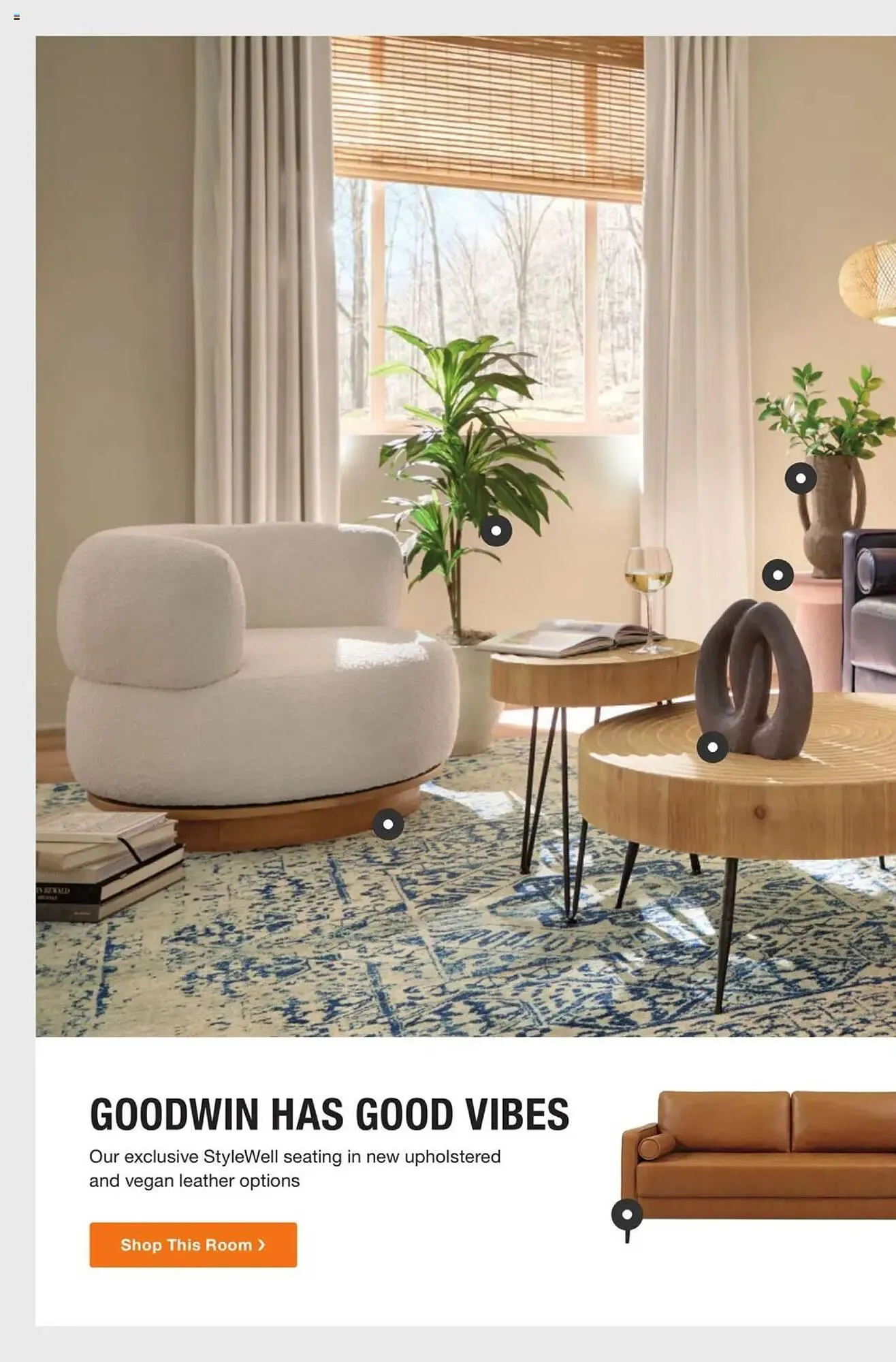 Weekly ad The Home Depot Weekly Ad from February 10 to March 23 2025 - Page 24