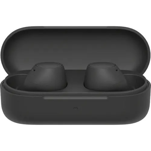 Sony Truly Wireless Earbuds with 22-Hour Battery - WFC510/B - Open Box